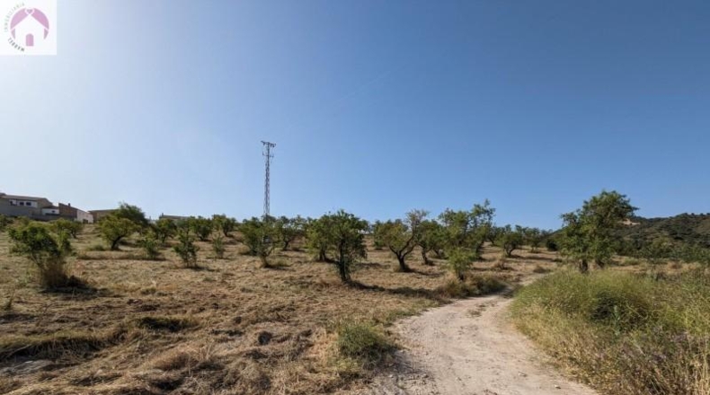 Granada - Alhama de Granada - 25834m2