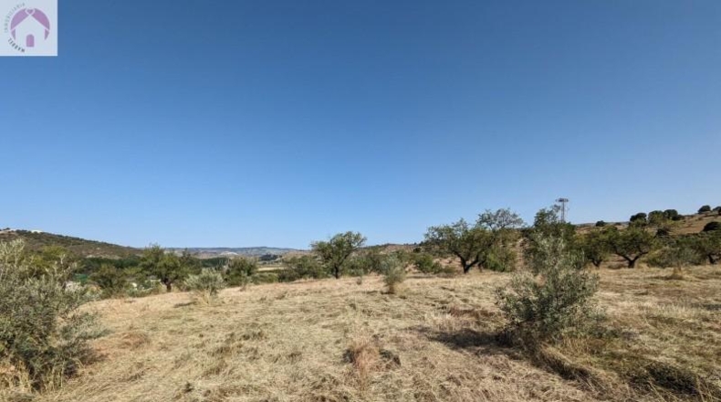 Granada - Alhama de Granada - 25834m2