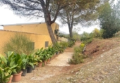 Casa amb terreny en venda a la España, Archidona, ref.: TR367378 foto