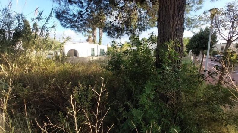 Balearic Islands - Alcudia - 270m2