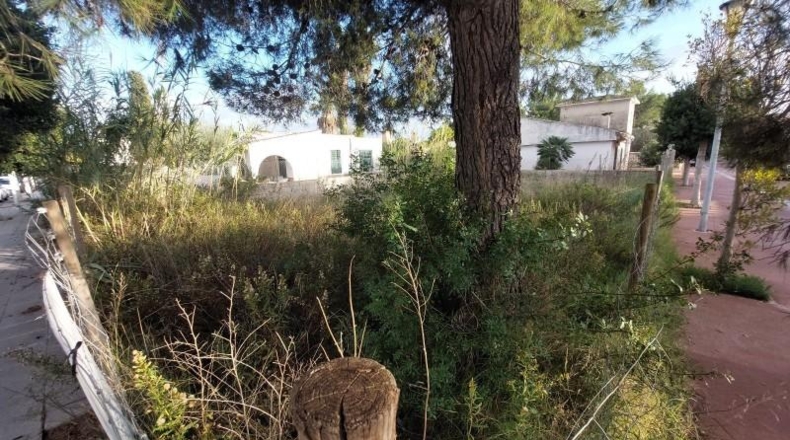 Balearic Islands - Alcudia - 270m2