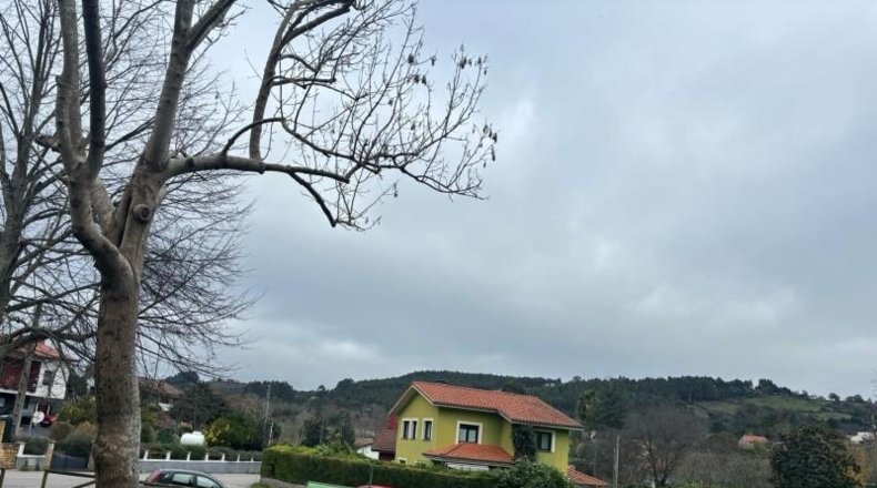 Asturias - Gijón - 1500m2