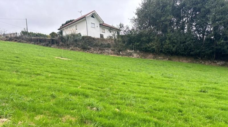 Asturias - Gijón - 1500m2