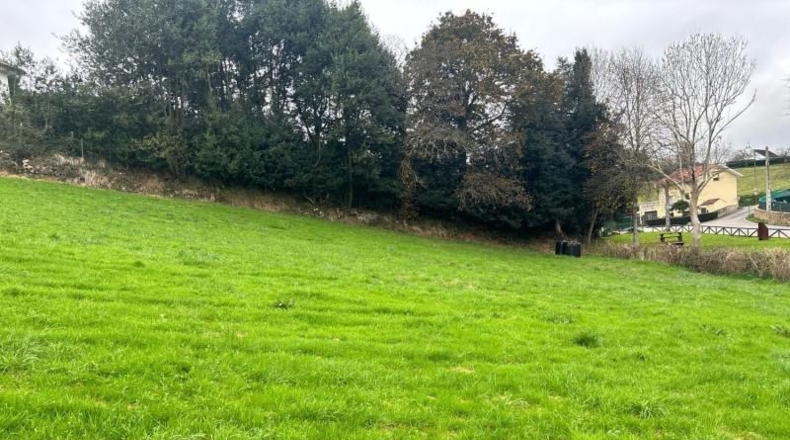 Asturias - Gijón - 1500m2