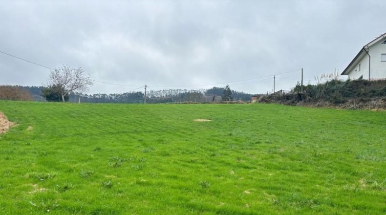 Asturias - Gijón - 1500m2