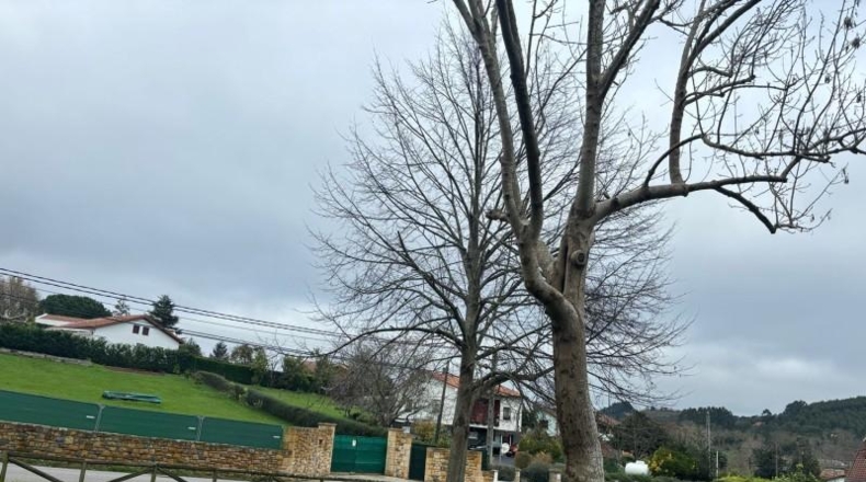 Asturias - Gijón - 1500m2