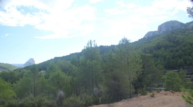 Alicante - Benisa - 18000m2
