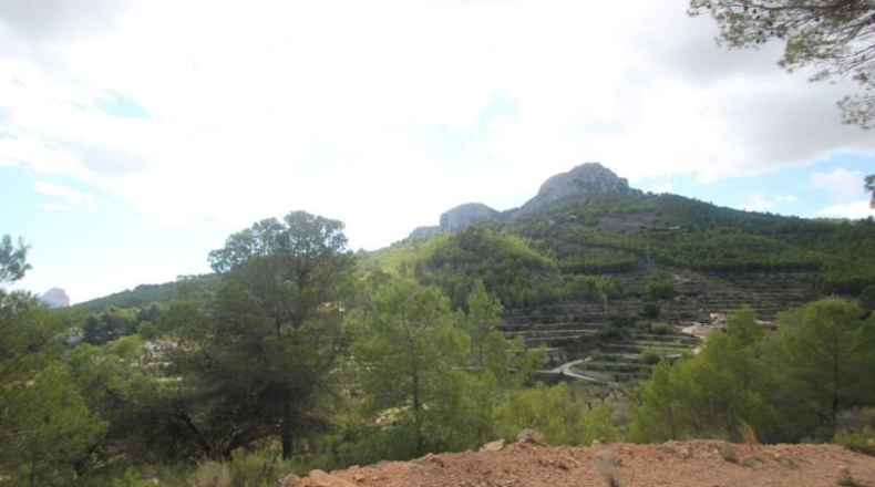 Alicante - Benisa - 18000m2