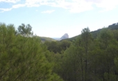 Terreny no urbanitzable en venda a la España, Benissa, ref.: TR309609 foto