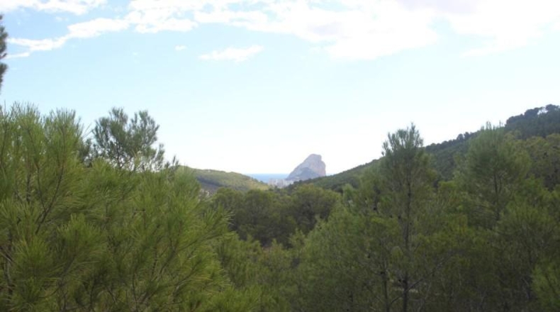Alicante - Benisa - 18000m2