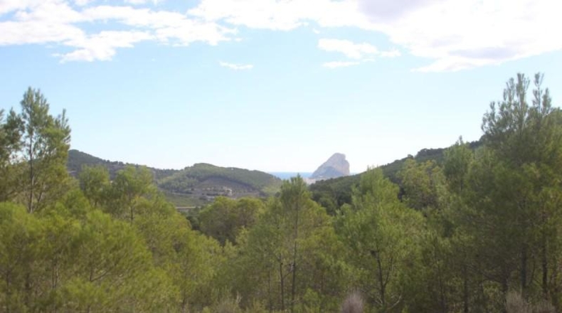 Alicante - Benisa - 18000m2