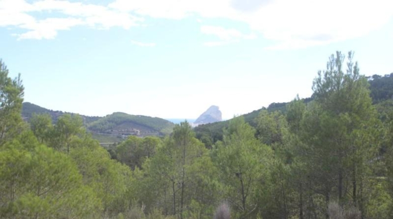 Alicante - Benisa - 18000m2