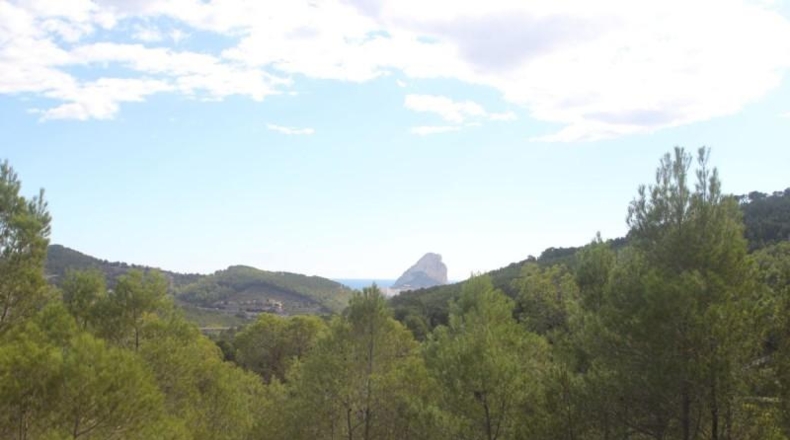 Alicante - Benisa - 18000m2