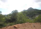 Terreny no urbanitzable en venda a la España, Benissa, ref.: TR309609 foto