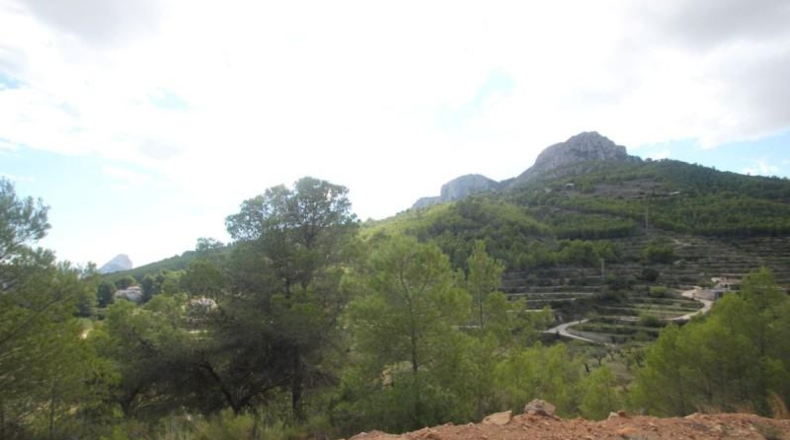 Alicante - Benisa - 18000m2