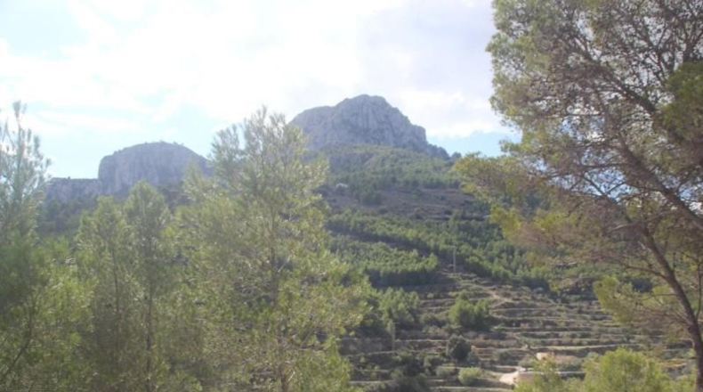 Alicante - Benisa - 18000m2