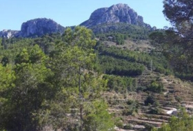 Foto 13