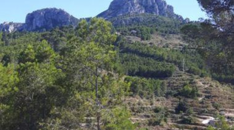 Alicante - Benisa - 18000m2