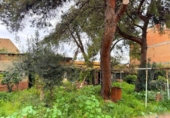 Casa con terreno en venta en la España, Reus, ref: TR287767 foto