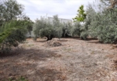Xalet independent amb terreny en venda a la España, Lucena, ref.: TR194525 foto
