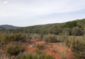 Non-developable land for sale on España, Alcalalí, ref: TR312257 photo