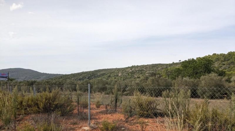 Comunidad de Madrid - Cenicientos - 23000m2