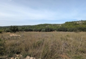 Non-developable land for sale on España, Alcalalí, ref: TR312257 photo
