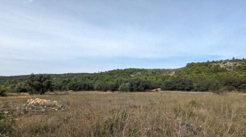 Comunidad de Madrid - Cenicientos - 23000m2