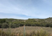 Non-developable land for sale on España, Alcalalí, ref: TR312257 photo