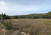 Non-developable land for sale on España, Alcalalí, ref: TR312257 photo