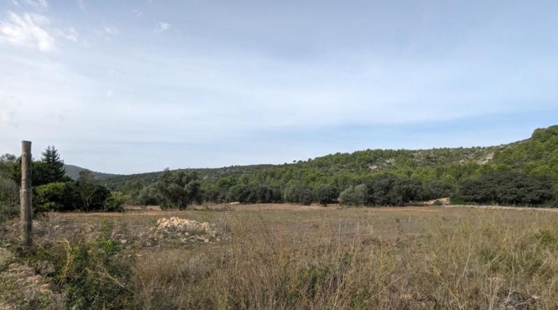 Comunidad de Madrid - Cenicientos - 23000m2