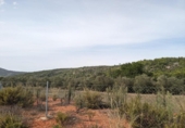 Non-developable land for sale on España, Alcalalí, ref: TR312257 photo
