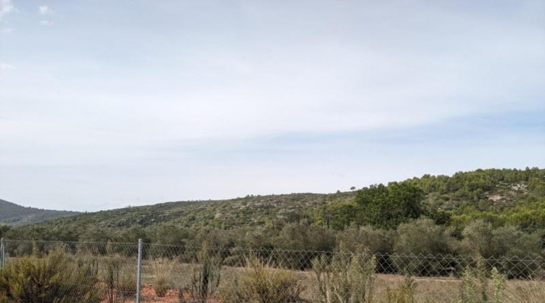 Comunidad de Madrid - Cenicientos - 23000m2