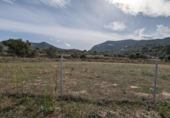 Non-developable land for sale on España, Alcalalí, ref: TR312257 photo
