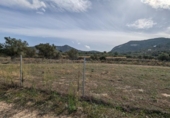Non-developable land for sale on España, Alcalalí, ref: TR312257 photo