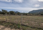 Non-developable land for sale on España, Alcalalí, ref: TR312257 photo