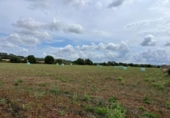 Non-developable land for sale on España, Sencelles, ref: TR314915 photo