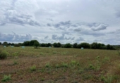Non-developable land for sale on España, Sencelles, ref: TR314915 photo