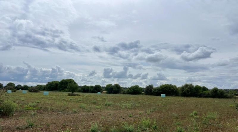 Balearic Islands - Sencelles - 16139m2
