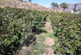 Guadix 200&nbsp;m²