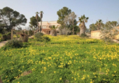 Casa de camp amb terreny en venda a la España, Oriola, ref.: TR132531 foto