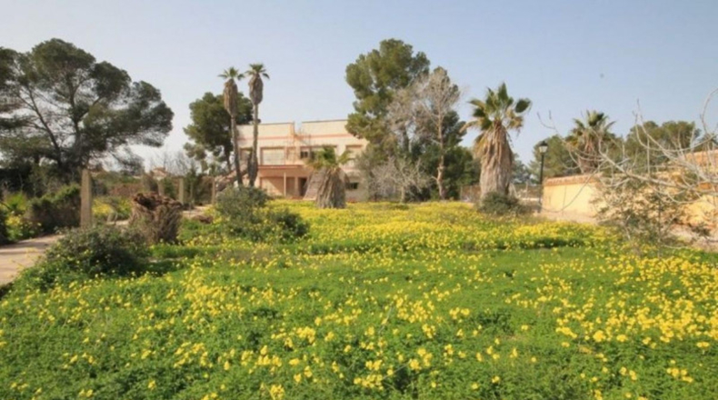 Alicante - Orihuela - 810m2