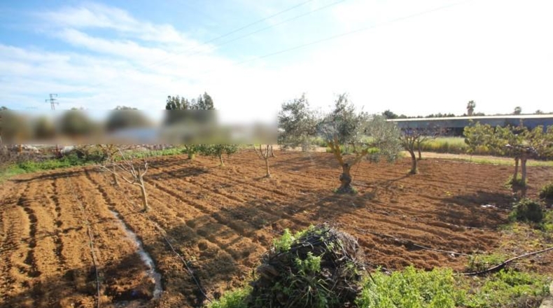 Huelva - Aljaraque - 10000m2