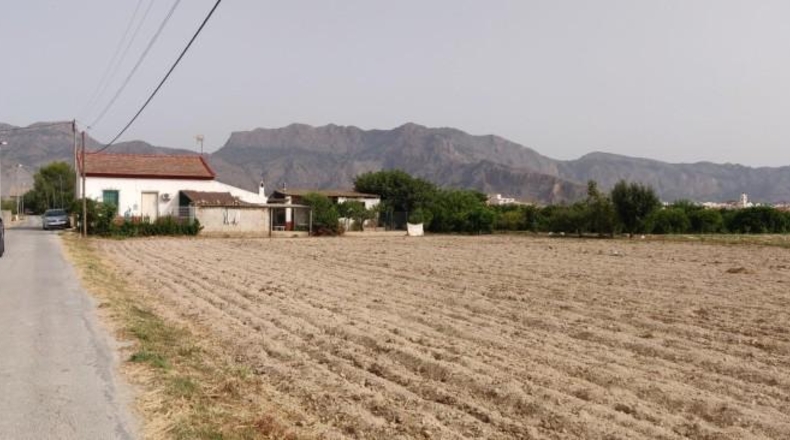 Alicante - Oriola - 140m2