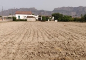Casa de camp amb terreny en venda a la España, Oriola, ref.: TR153500 foto