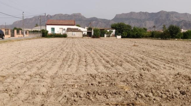 Alicante - Oriola - 140m2