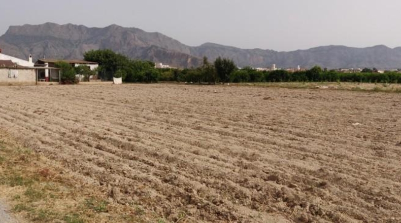 Alicante - Oriola - 140m2