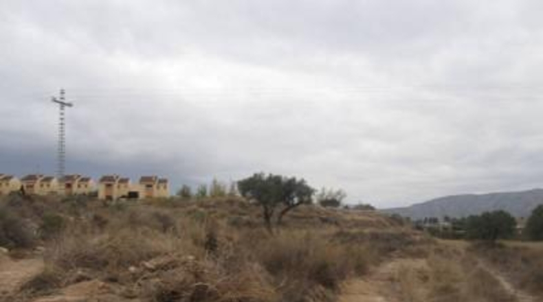 Alicante - Monóvar - 32000m2