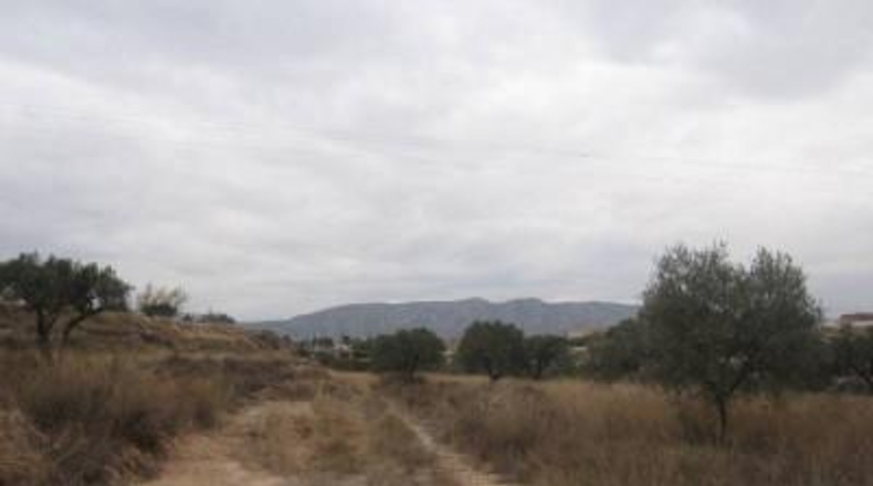 Alicante - Monóvar - 32000m2