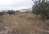 Terreny no urbanitzable en venda a la España, Monòver, ref.: TR122093 foto